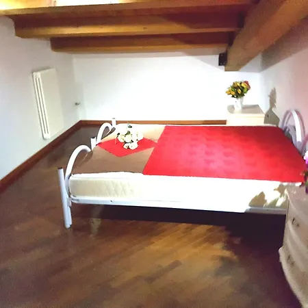 Cangini *