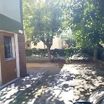 Cangini