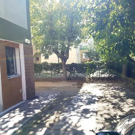 Cangini